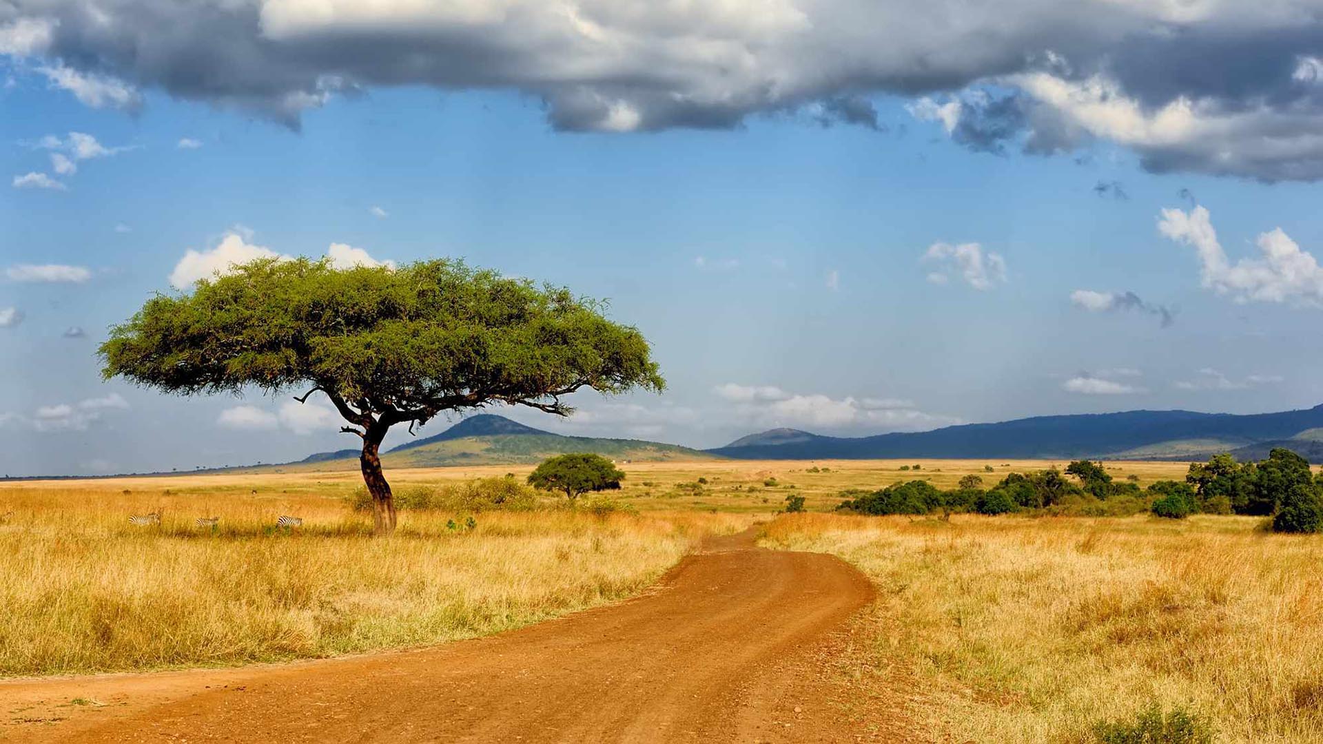 Afrika