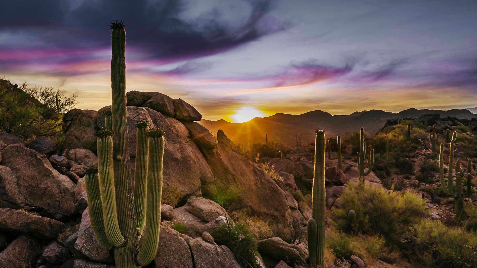 Arizona